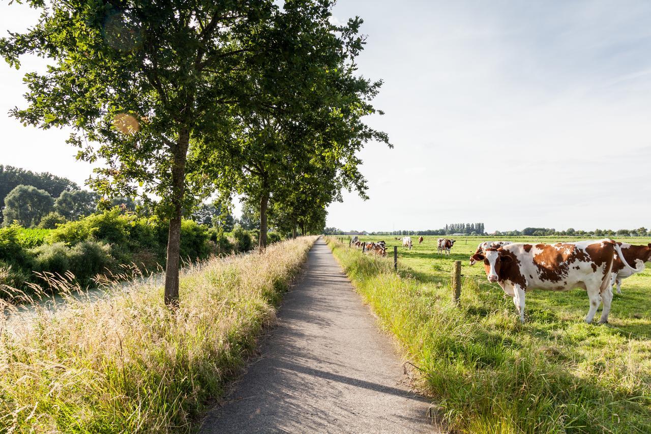 B&B De Lievde Lievegem Zewnętrze zdjęcie